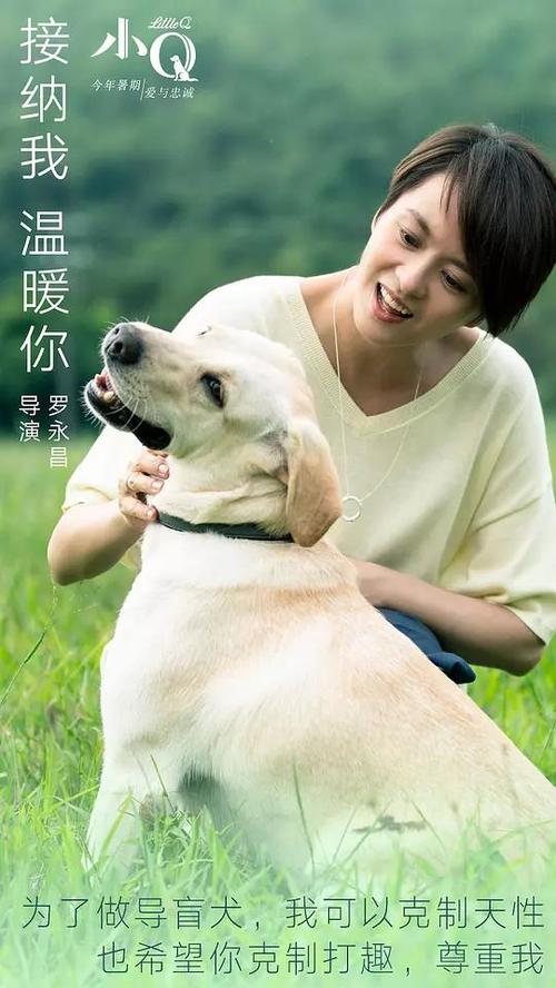 日本滋贺大学文凭毕业证哪里可以做假的